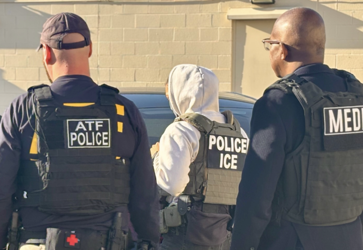 ICE is No Gestapo
